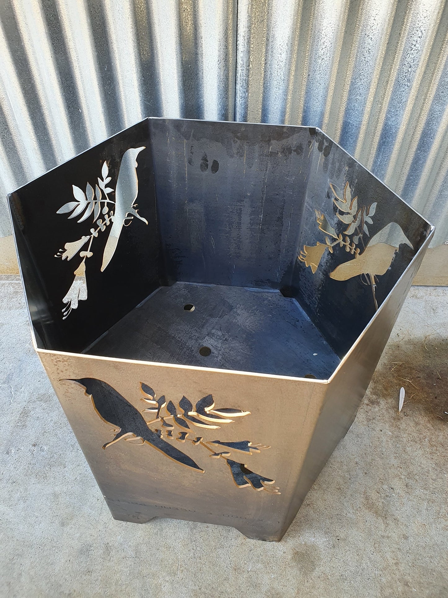Tui Brazier