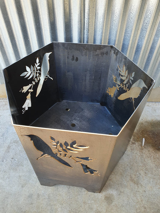 Tui Brazier